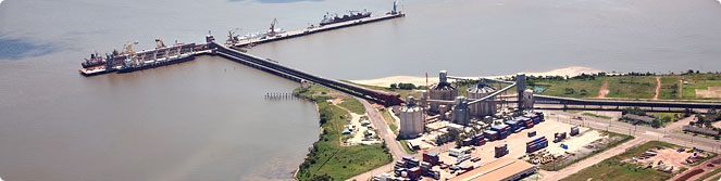 Resultado de imagem para Tecon Vila do Conde